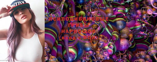 дживик Арсеньев