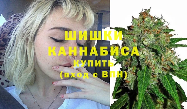 дживик Арсеньев