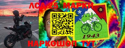 spice Новодвинск