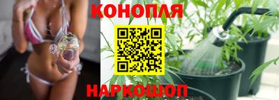 spice Новодвинск
