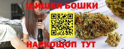 spice Новодвинск