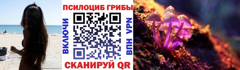 Псилоцибиновые грибы мухоморы  Балтийск 