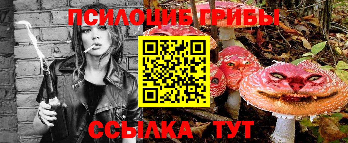 Балтийск  Псилоцибиновые грибы Psilocybine cubensis  Псилоцибиновые грибы прущие грибы  Вход с VPN 