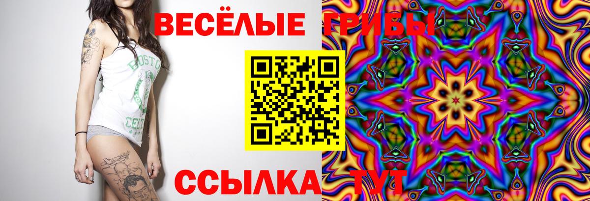 ГАШИШ  Конопля  Балтийск  Вход с VPN  Меф МЯУ МЯУ  